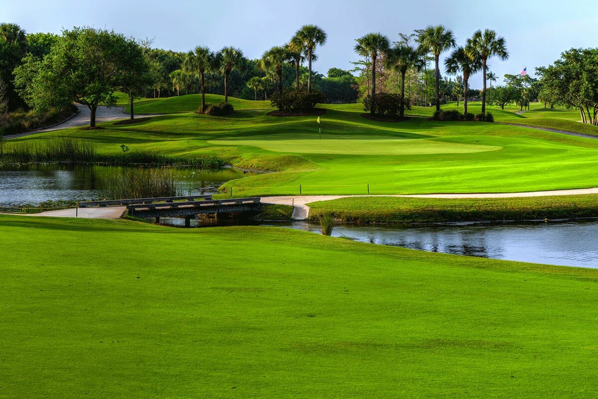 7745 Wood Duck Drive