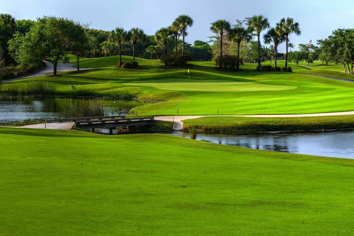 7745 Wood Duck Drive