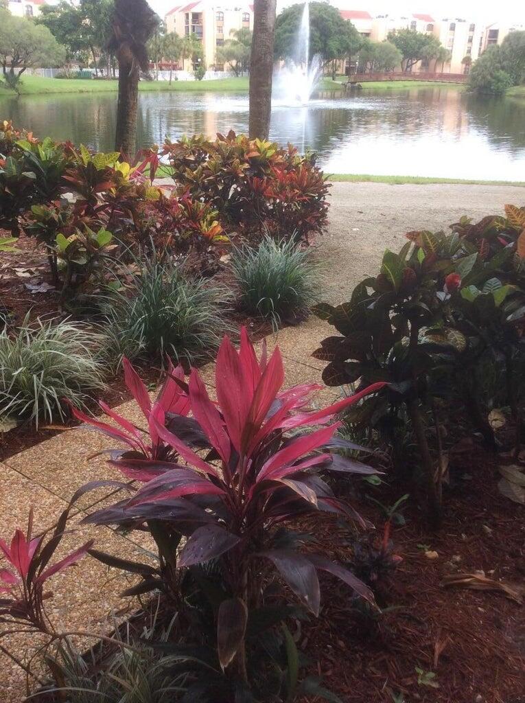 955 Dotterel Road 2307