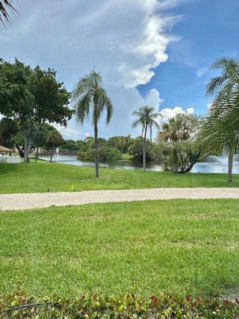 2455 Lindell Boulevard 3103