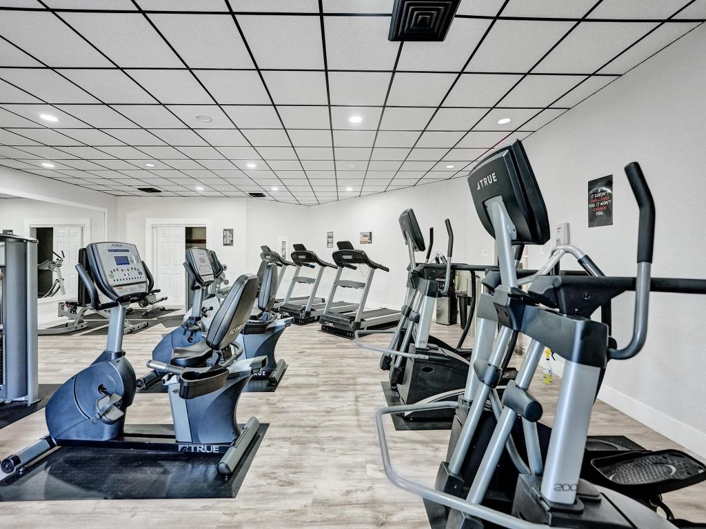 955 Dotterel Road 2103