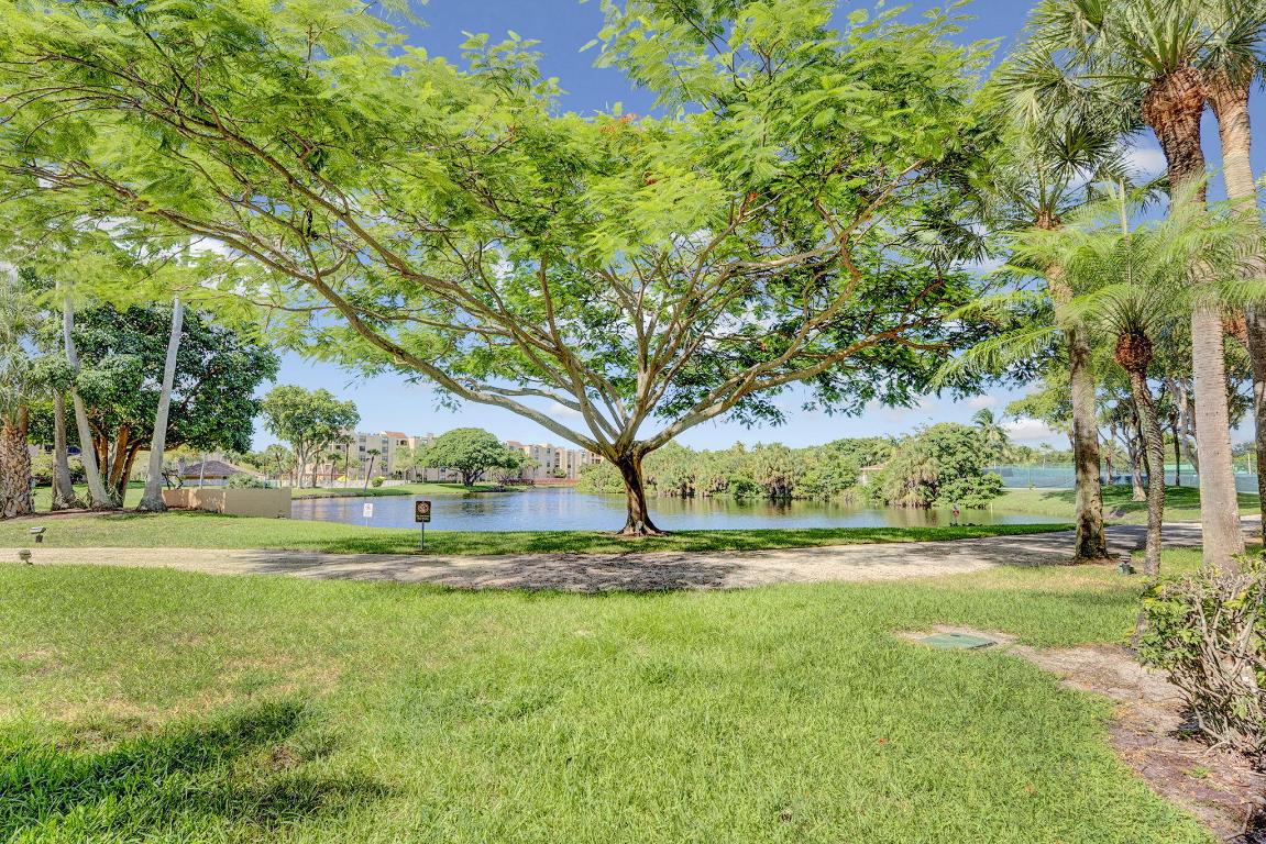 955 Dotterel Road 2103