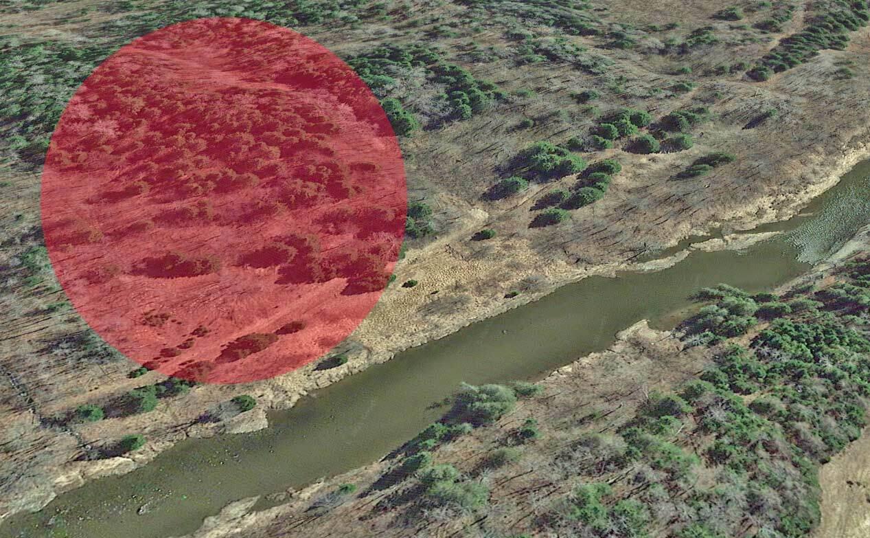 Lot 42C Patty Hoyt Trail
