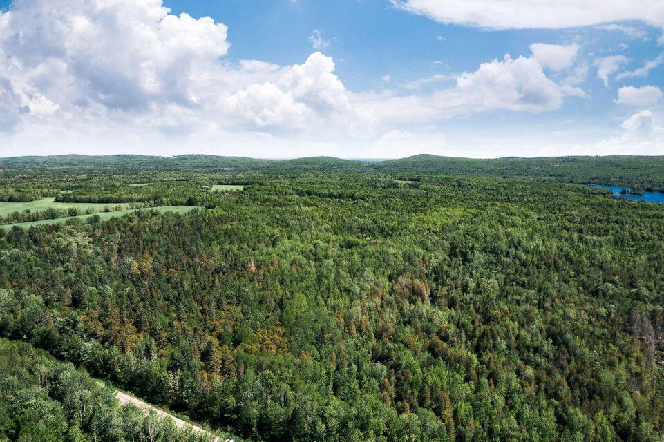 TBD Norton Hill Road, Dover-Foxcroft