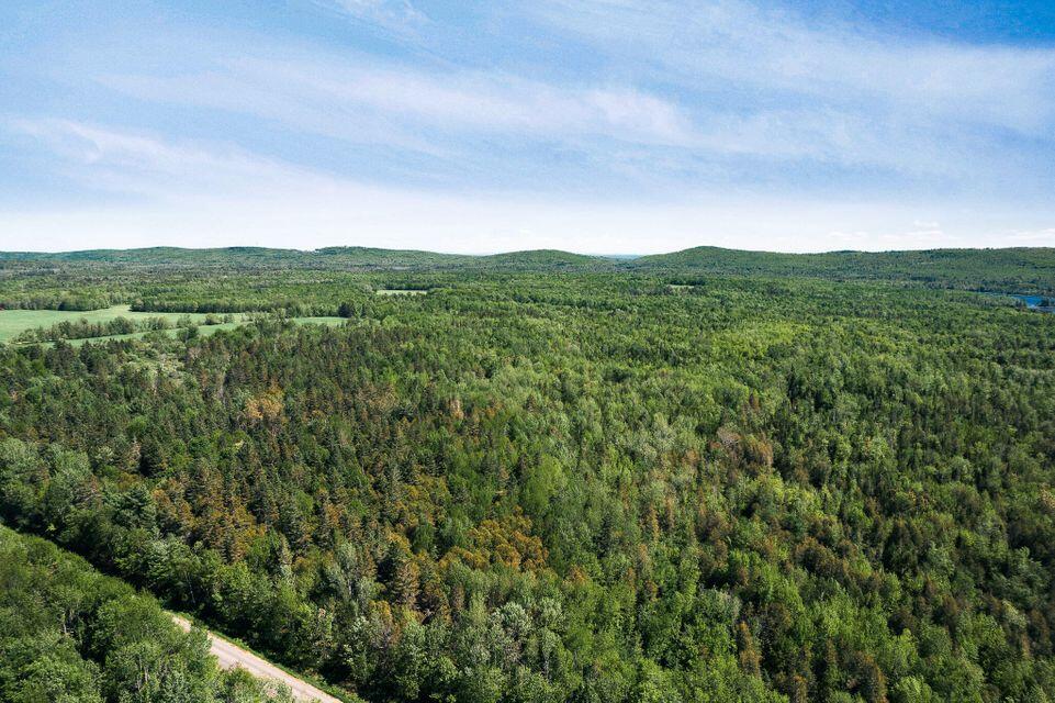 TBD Norton Hill Road, Dover-Foxcroft