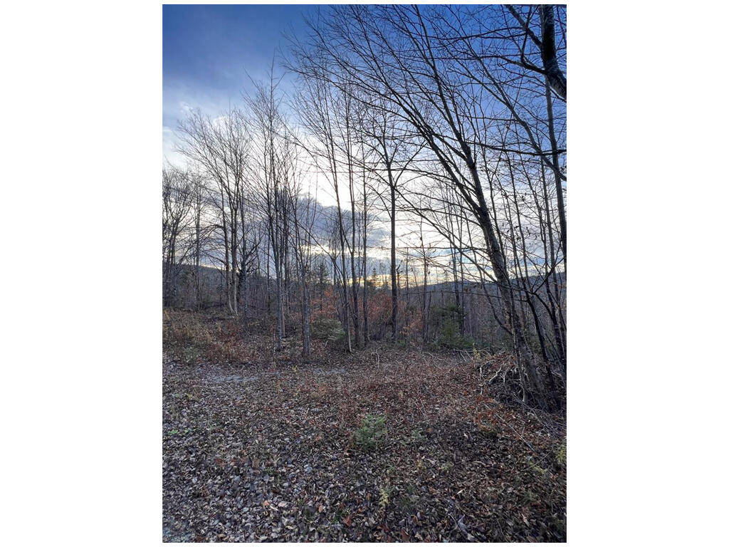 Lower Lot 7-2 Brown Road