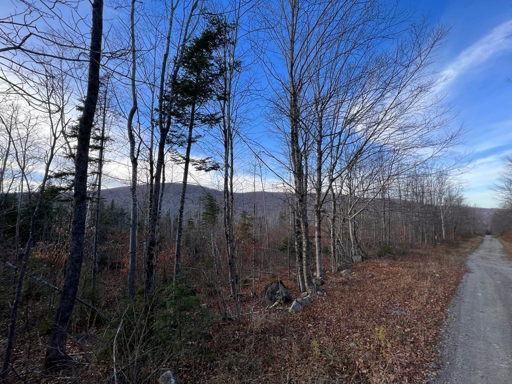 Lower Lot 7-2 Brown Road