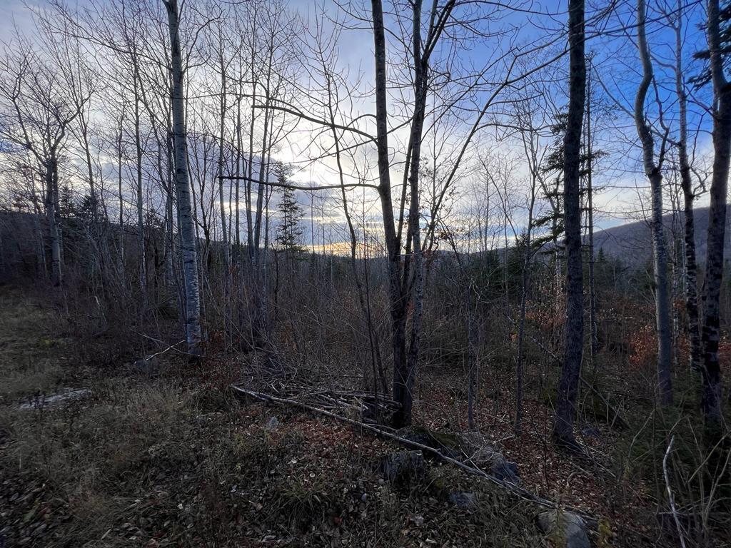 Lower Lot 7-2 Brown Road