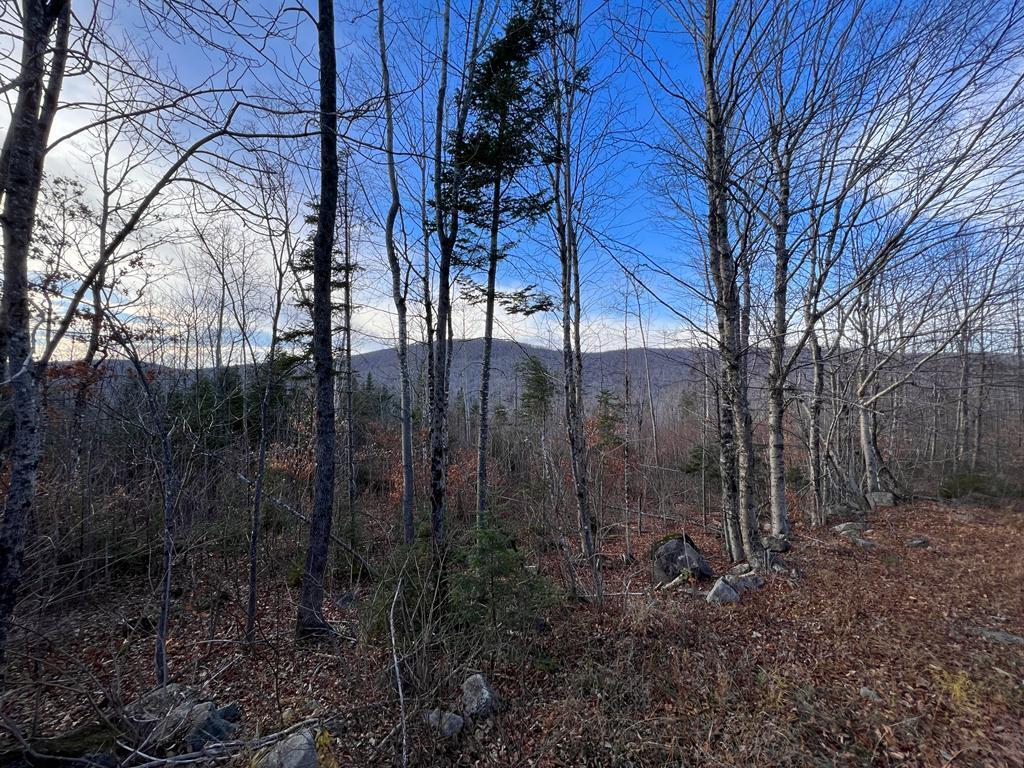 Lower Lot 7-2 Brown Road