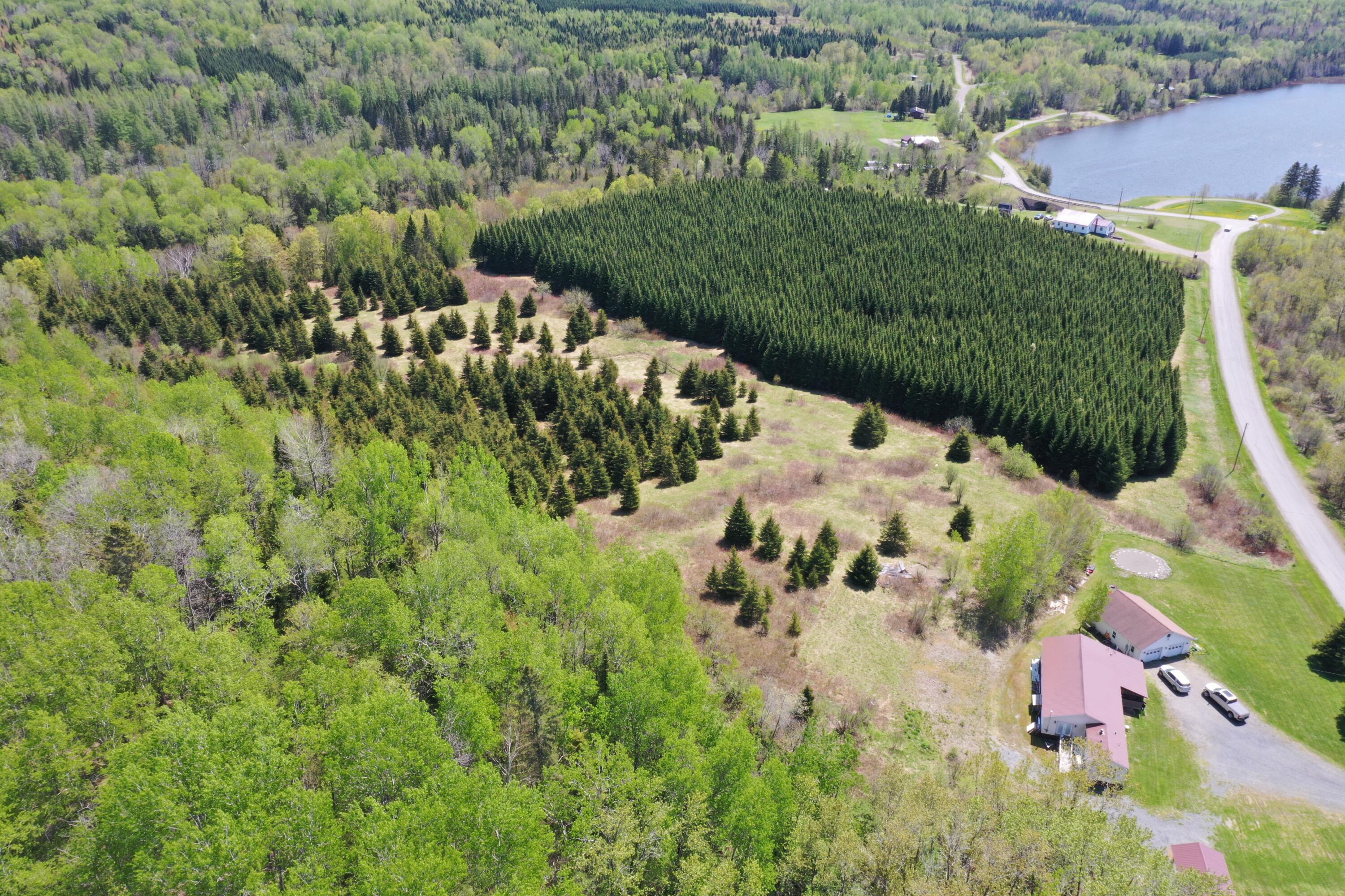 503 Dorsey Road