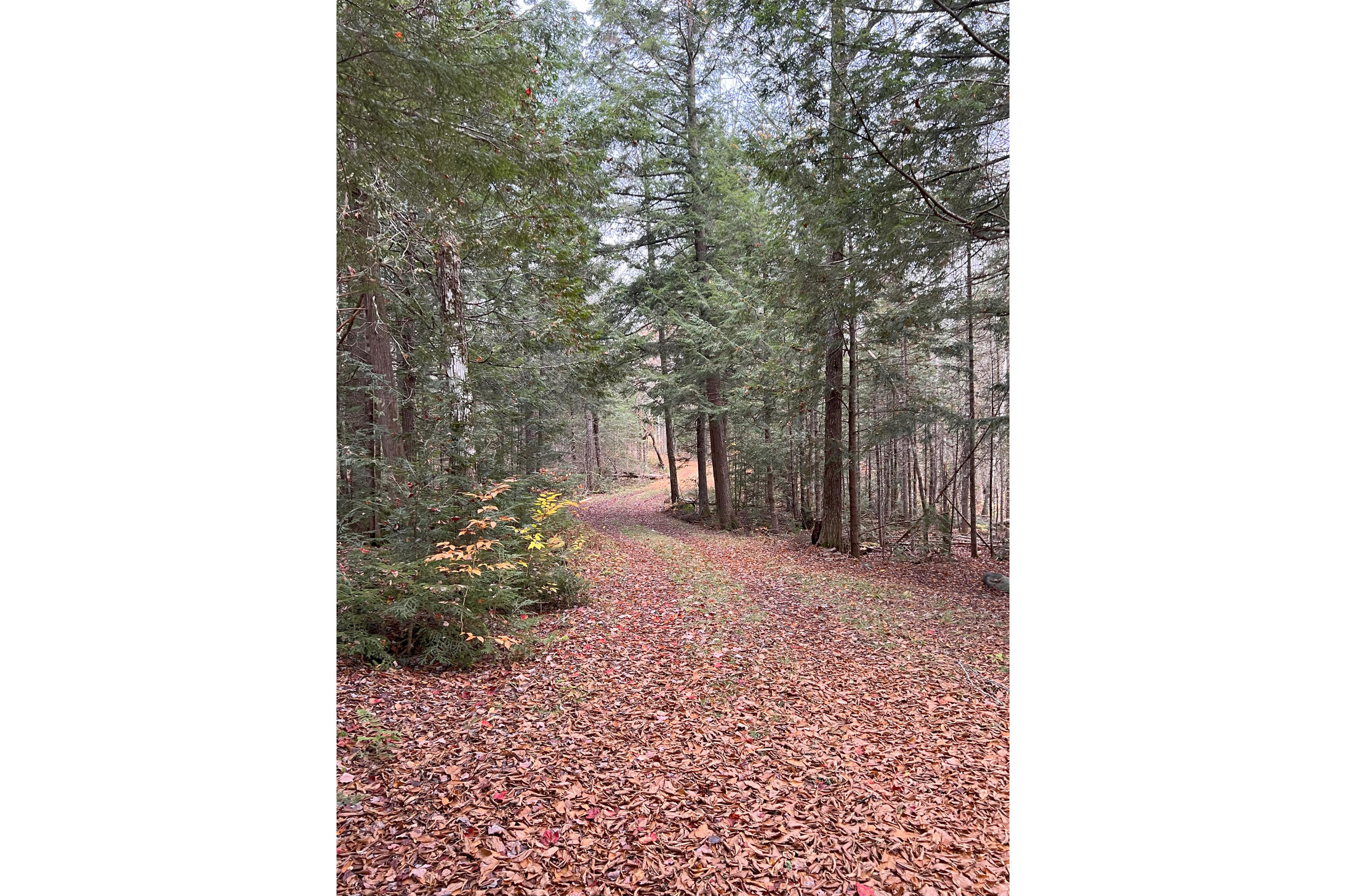 225 Brimstone Road