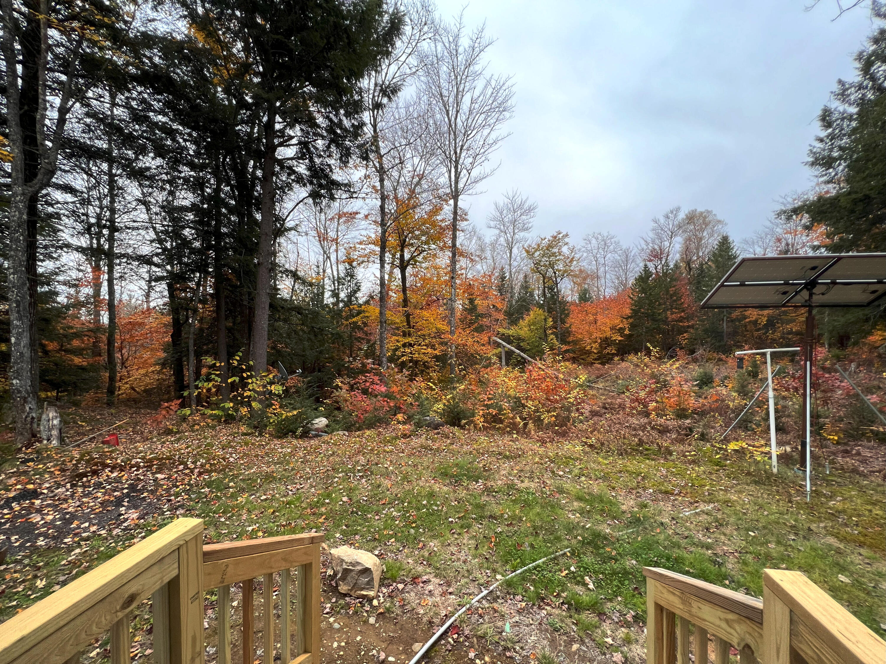 225 Brimstone Road