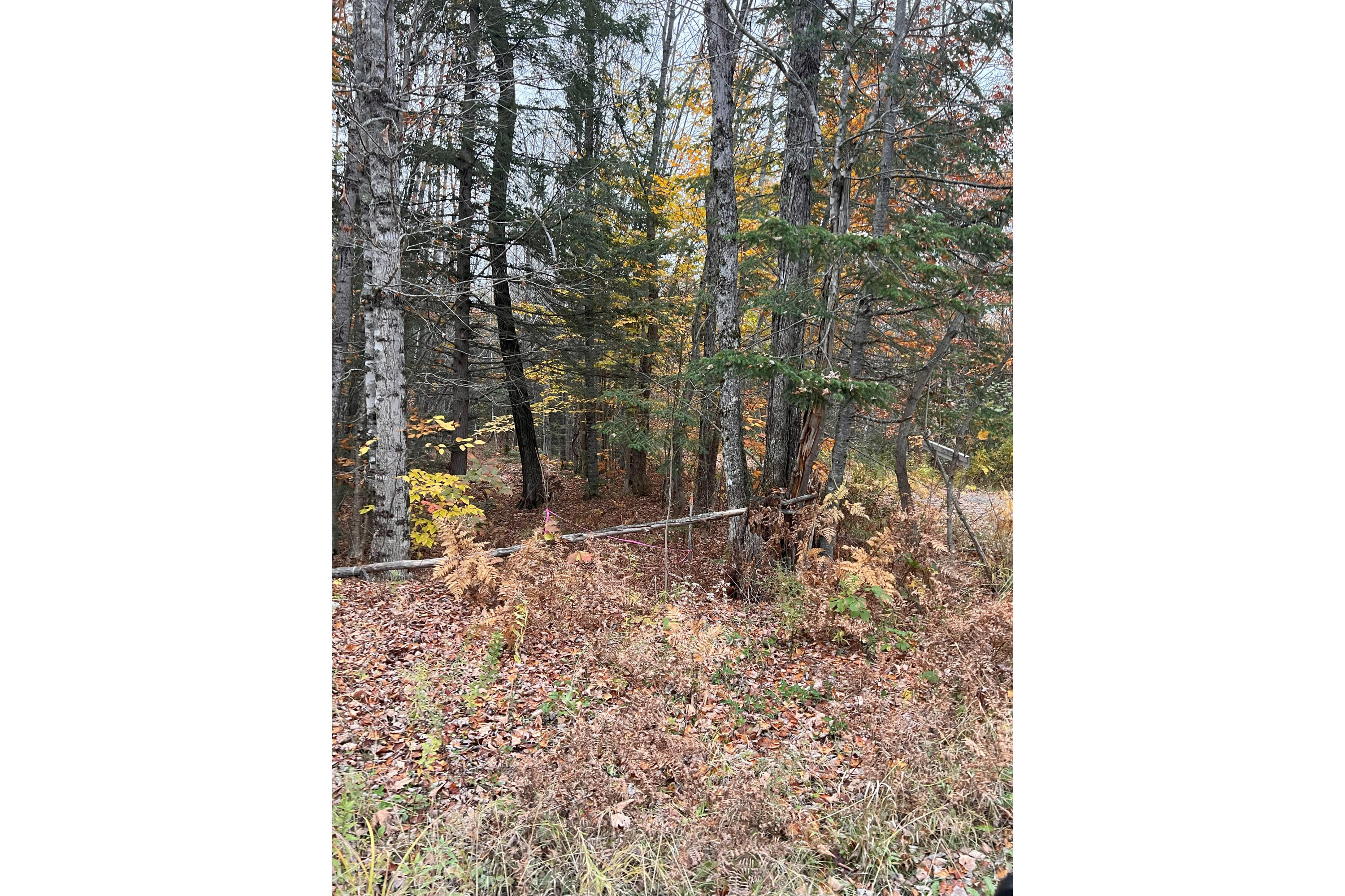 225 Brimstone Road