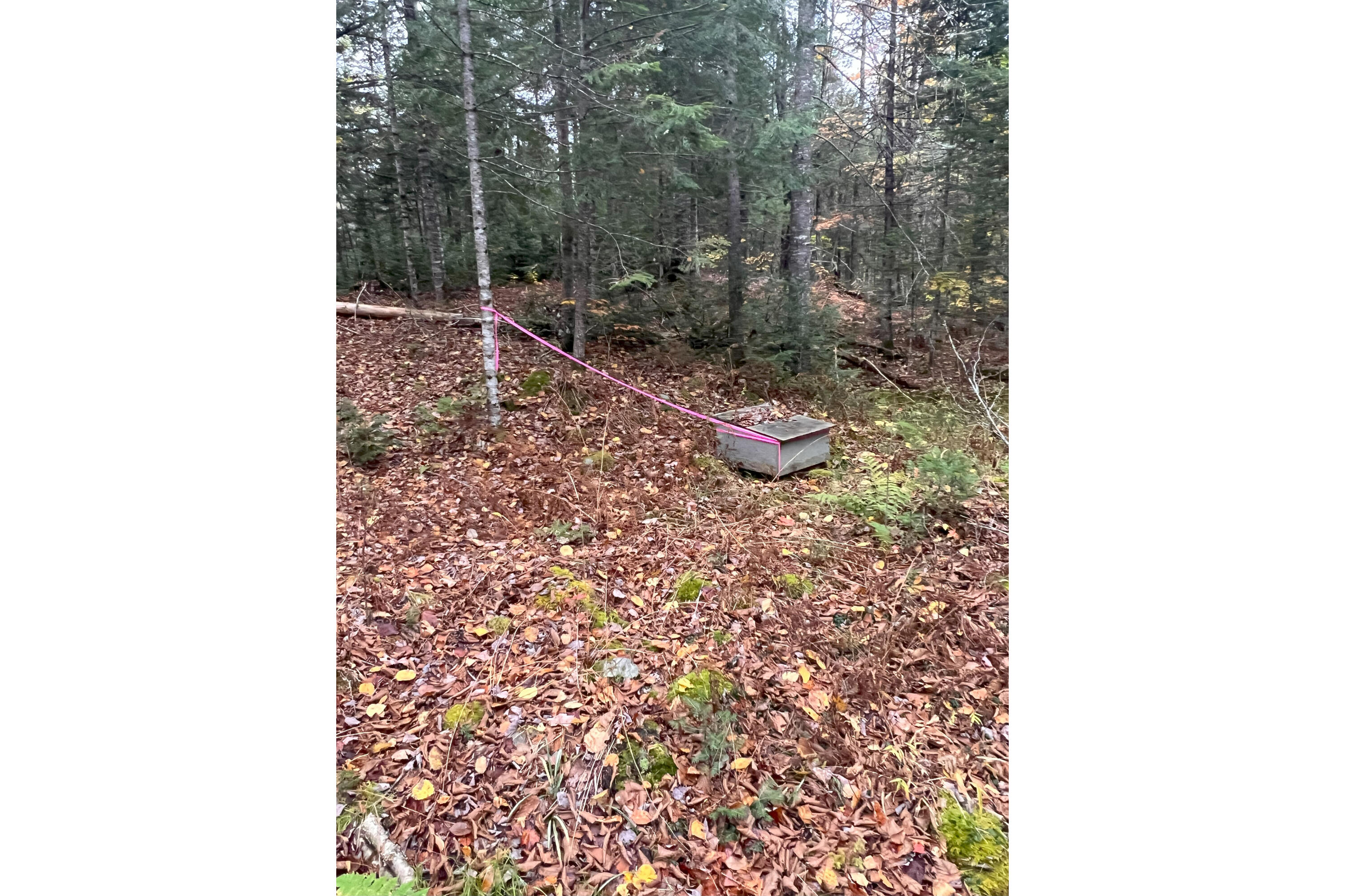 225 Brimstone Road