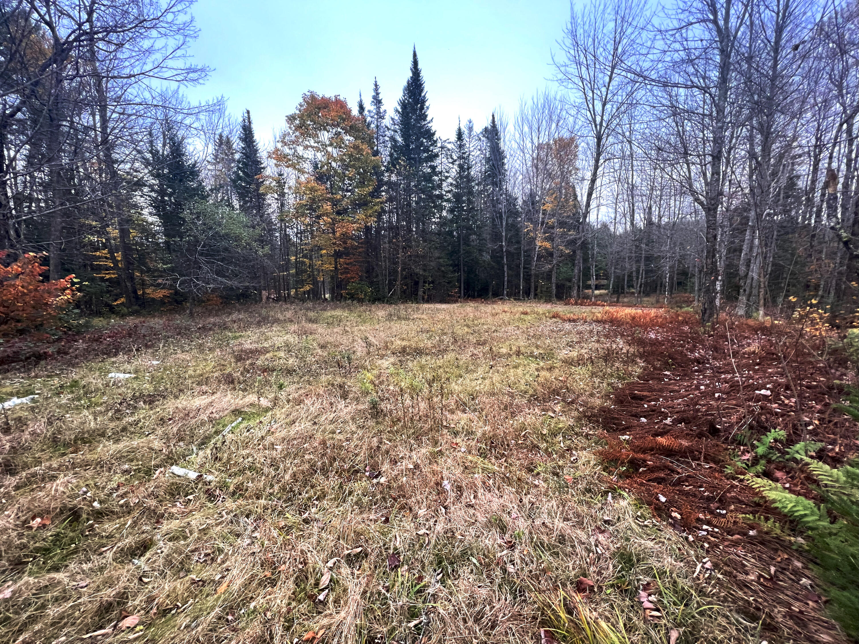 225 Brimstone Road