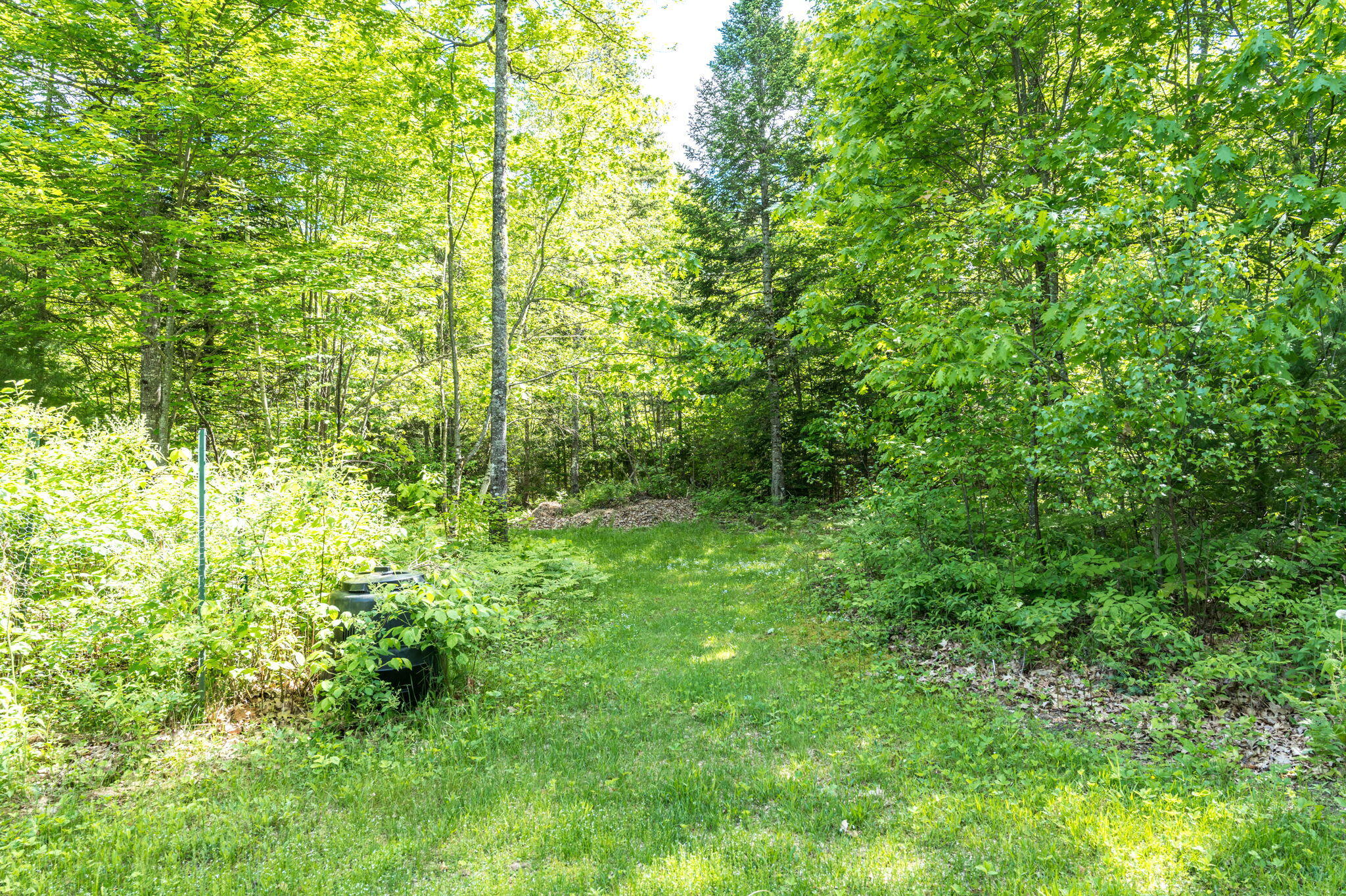 1160 Main Road