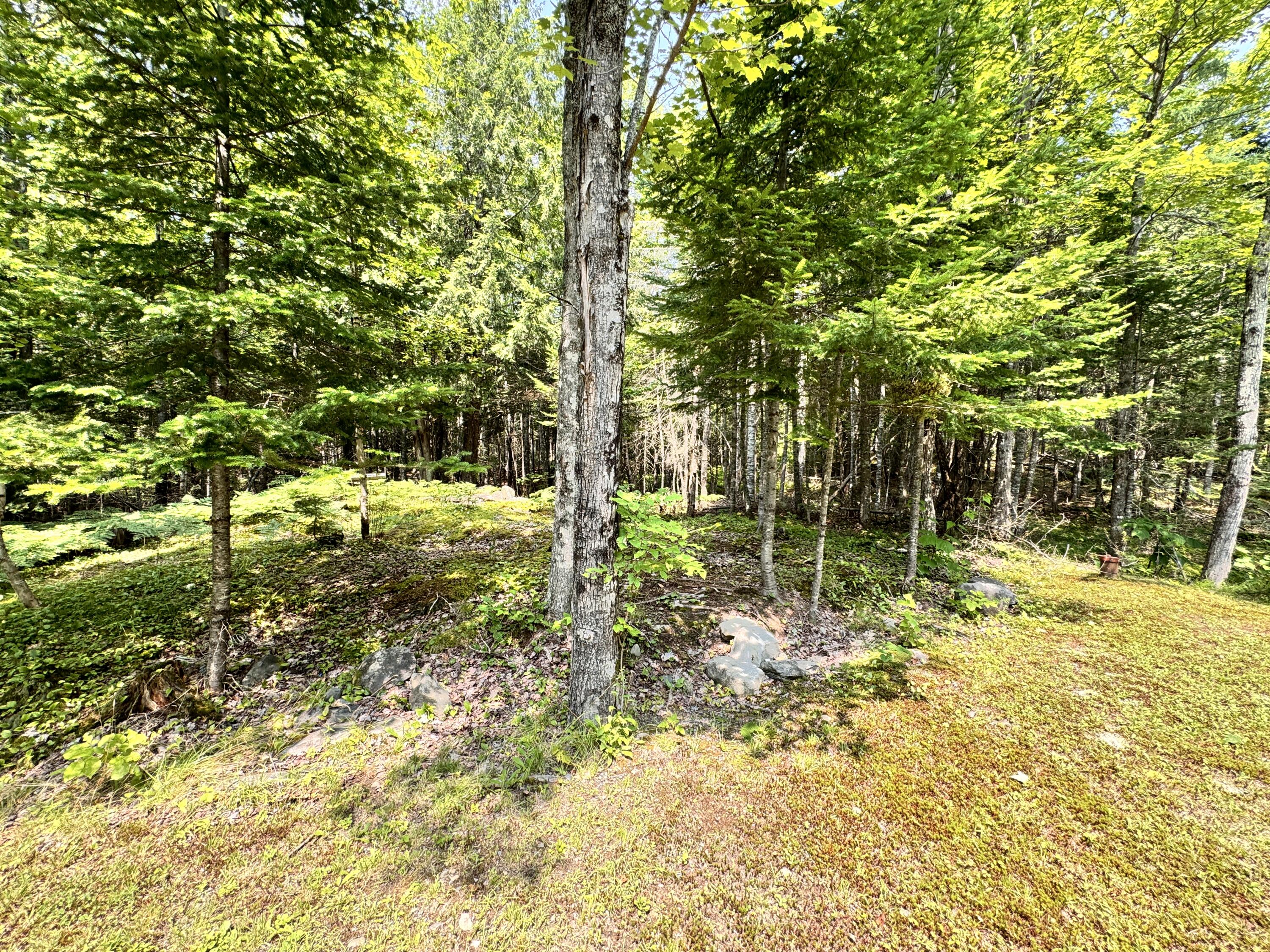 141 Crow Hill Road
