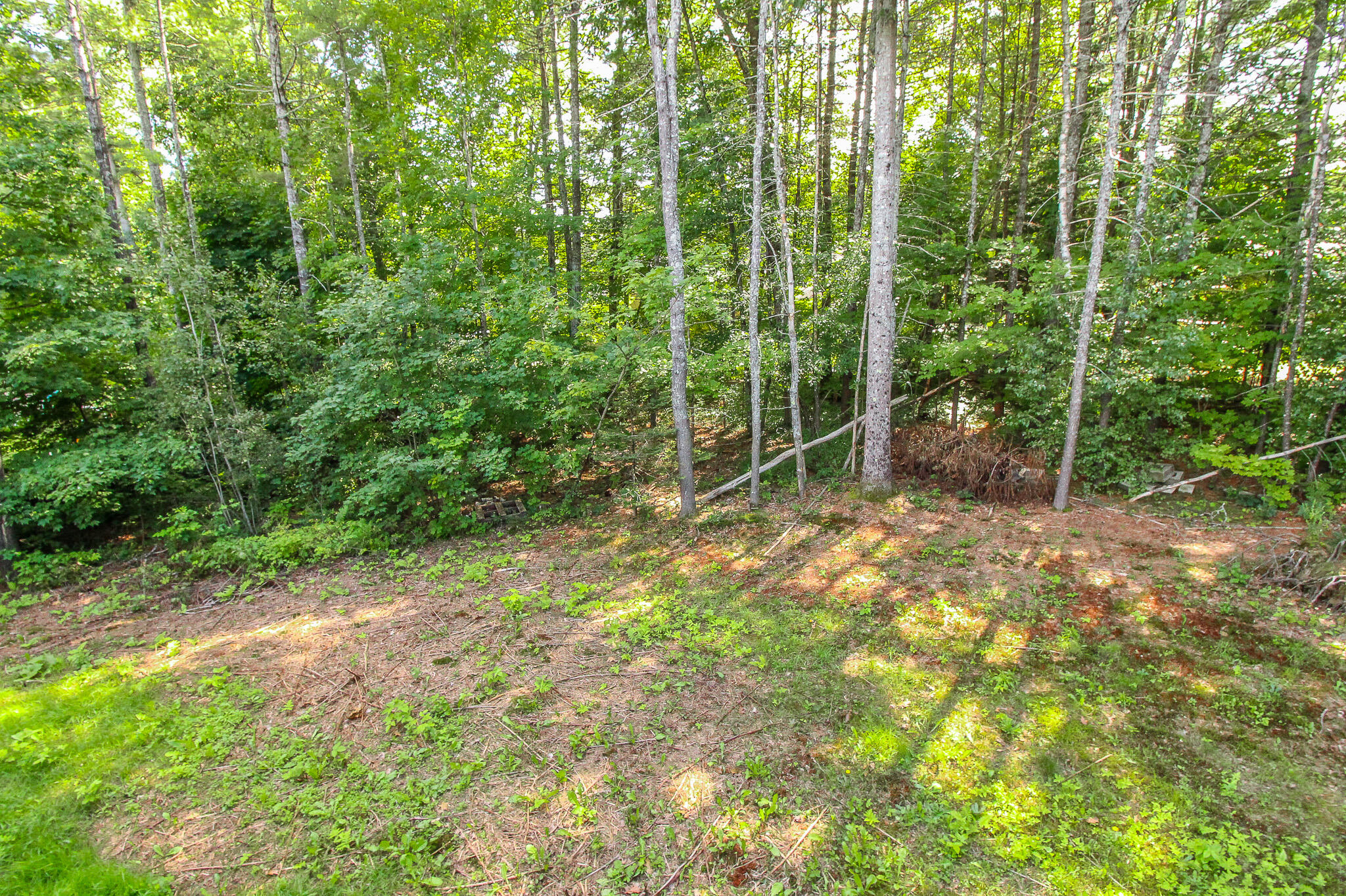 16 Sunrise Lane