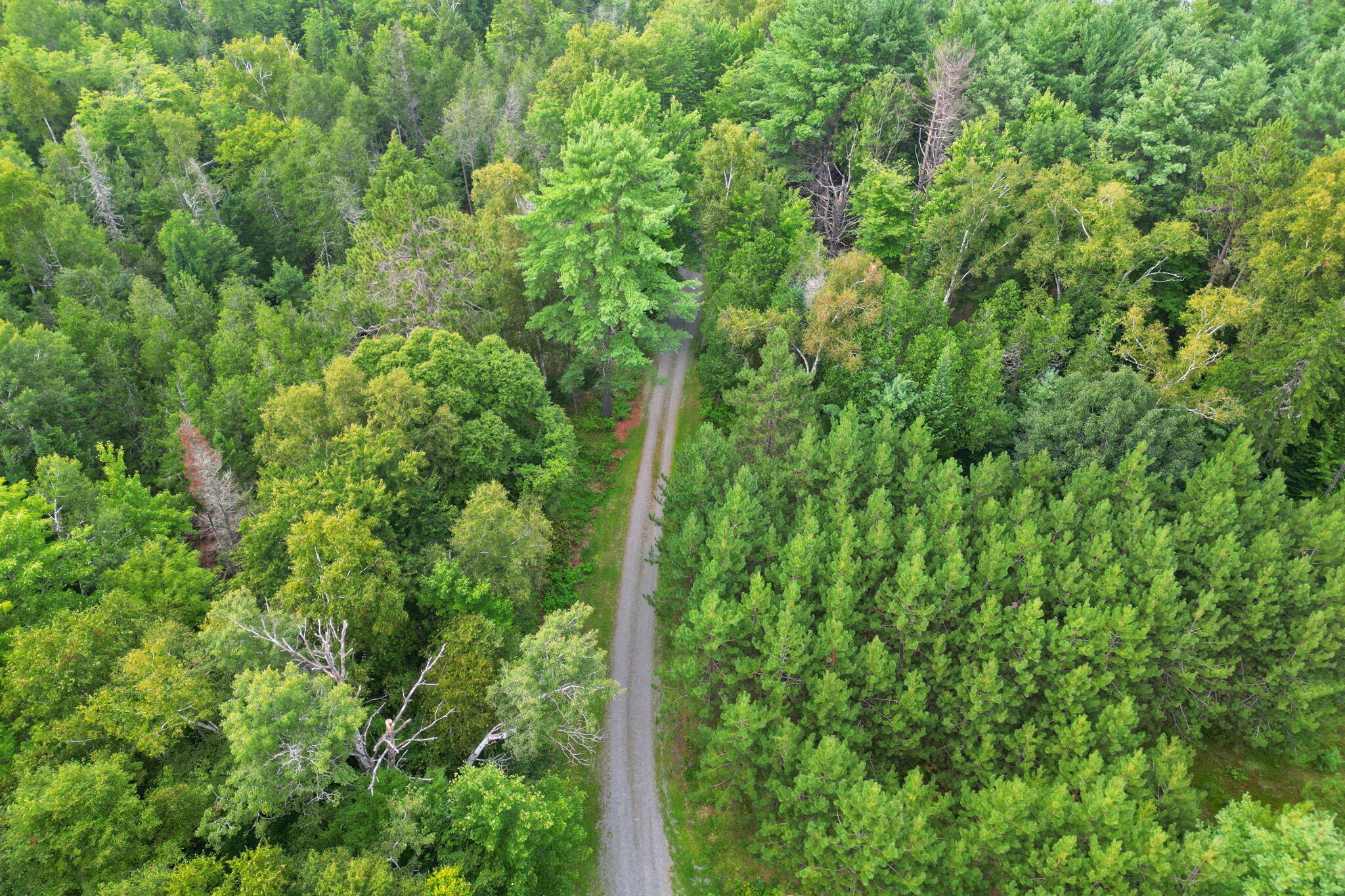 TBD Steadmans Landing Road, Dover-Foxcroft
