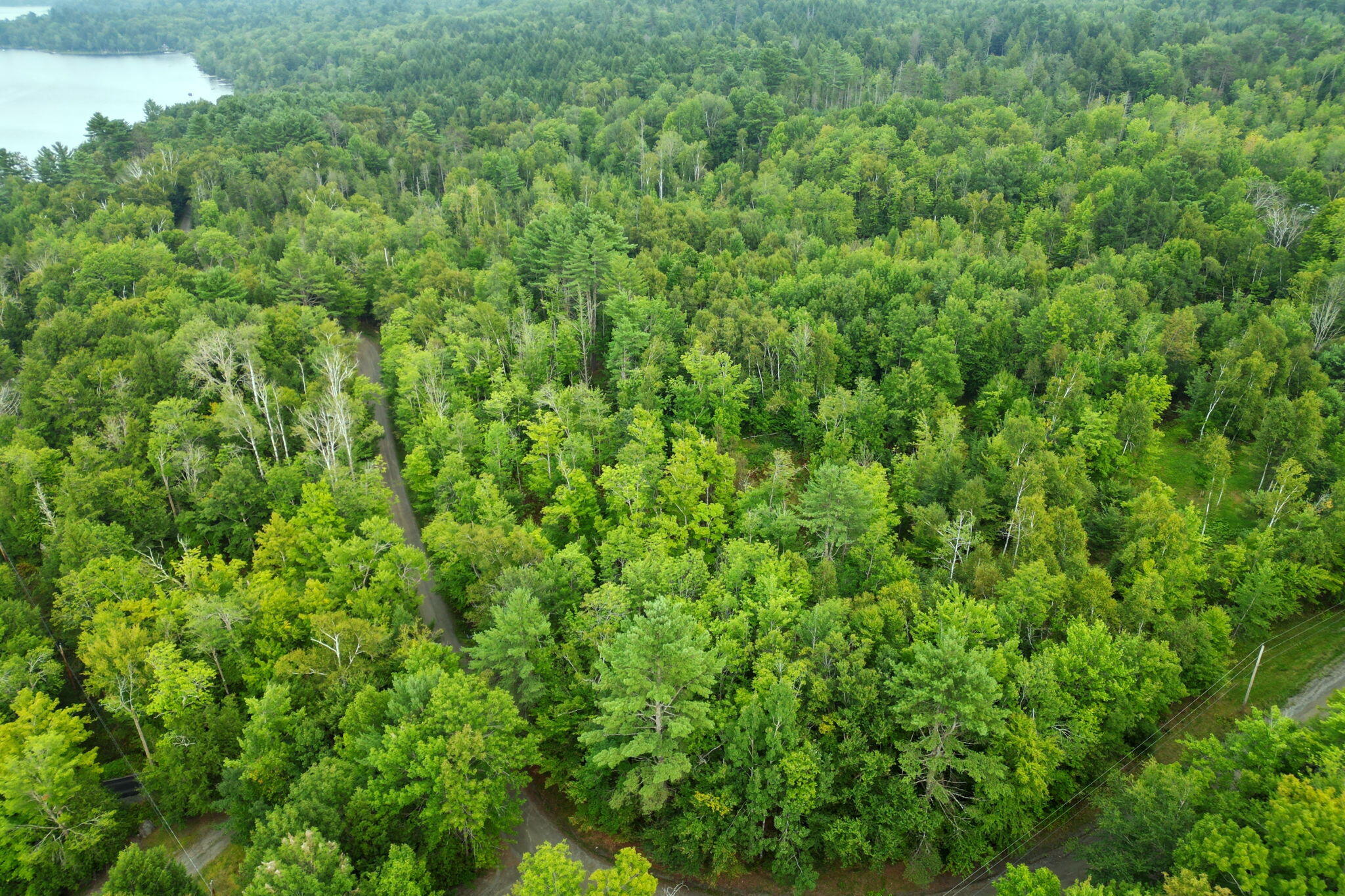 TBD Steadmans Landing Road, Dover-Foxcroft