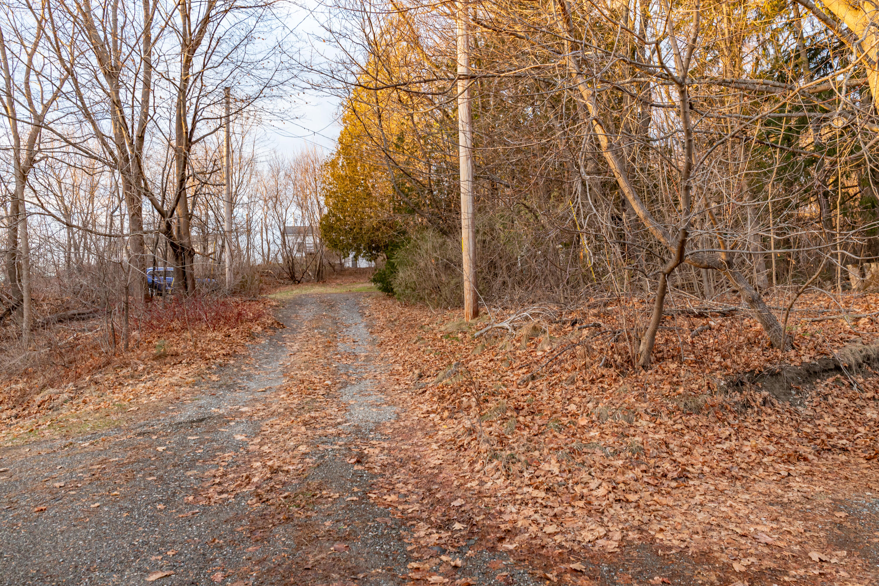 692 Main Road N