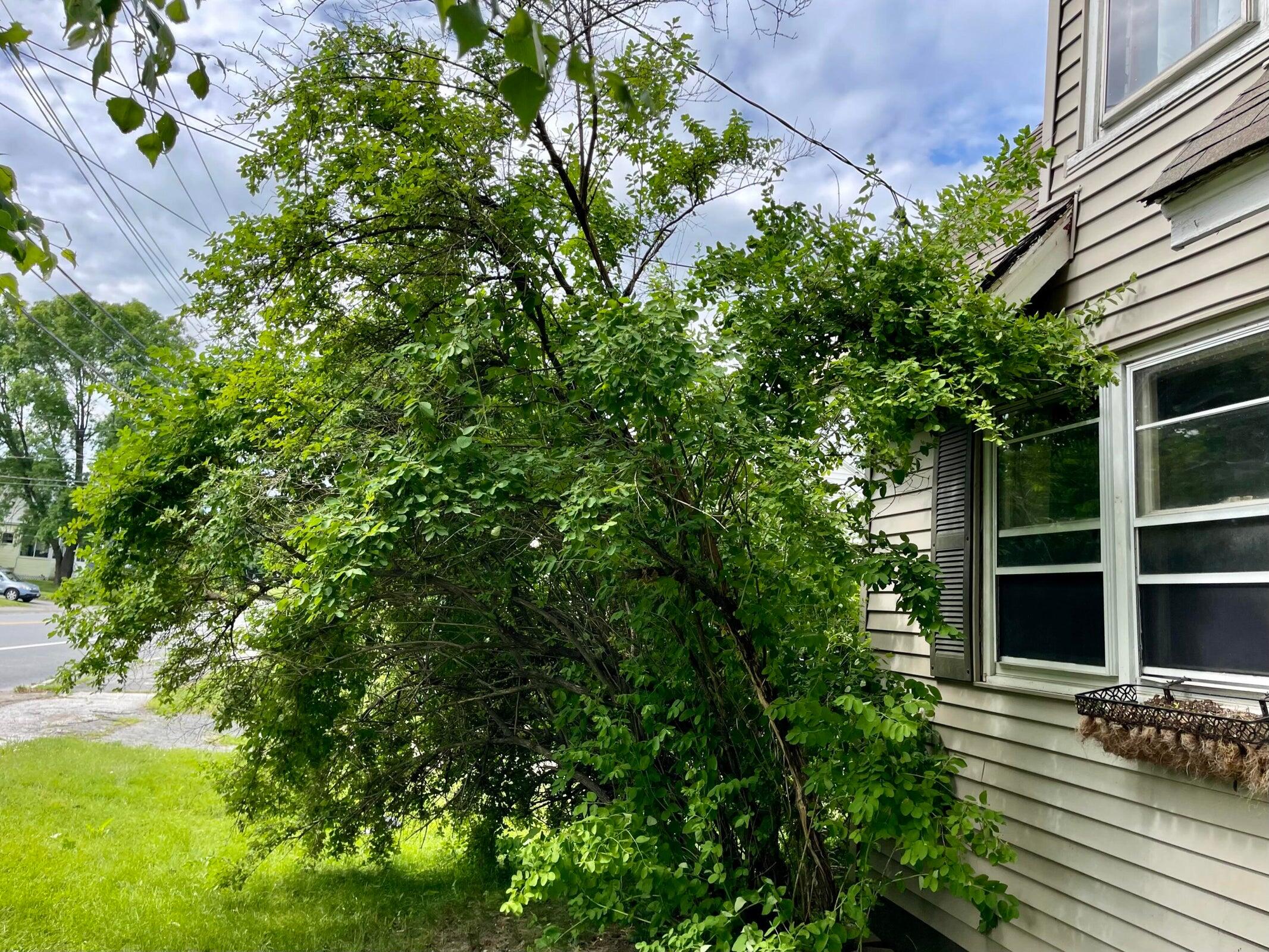 642 Main Street
