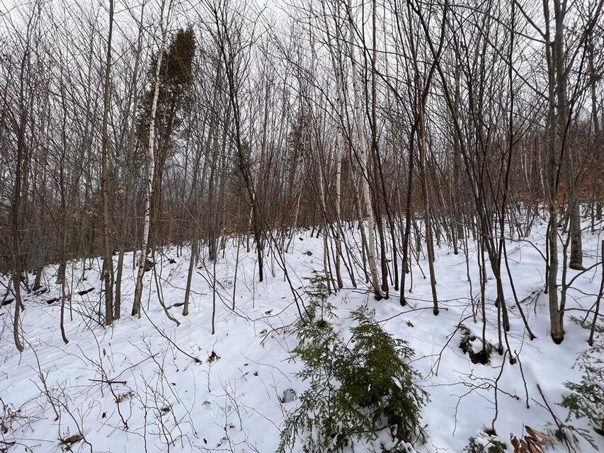 Lot 17 S Rumford Road