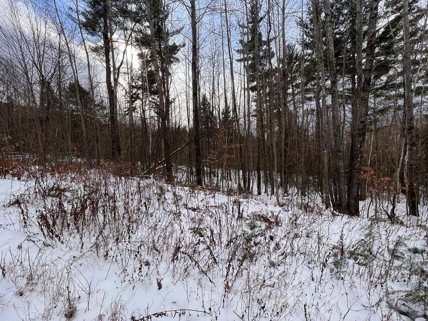 Lot 17 S Rumford Road
