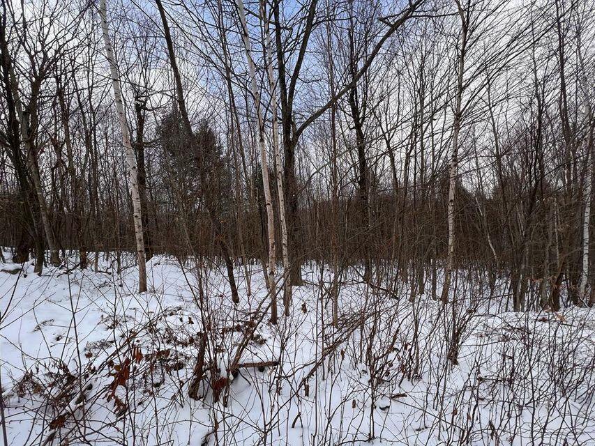 Lot 17 S Rumford Road