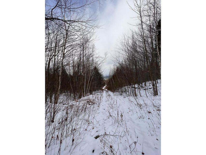 Lot 17 S Rumford Road