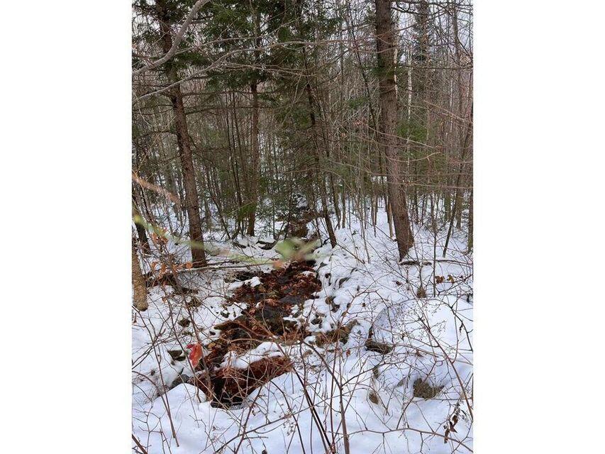 Lot 17 S Rumford Road