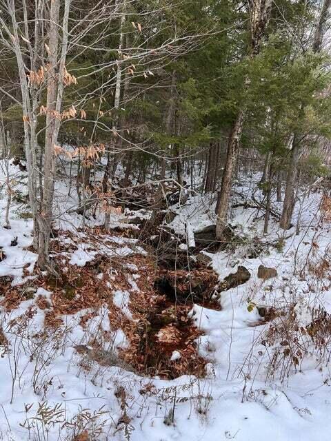 Lot 4 S Rumford Road