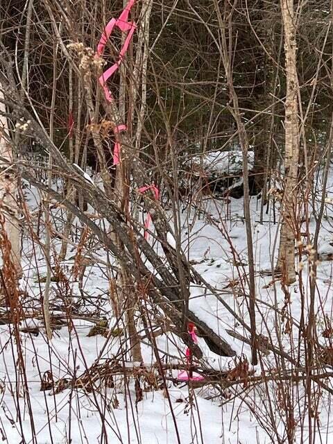 Lot 4 S Rumford Road