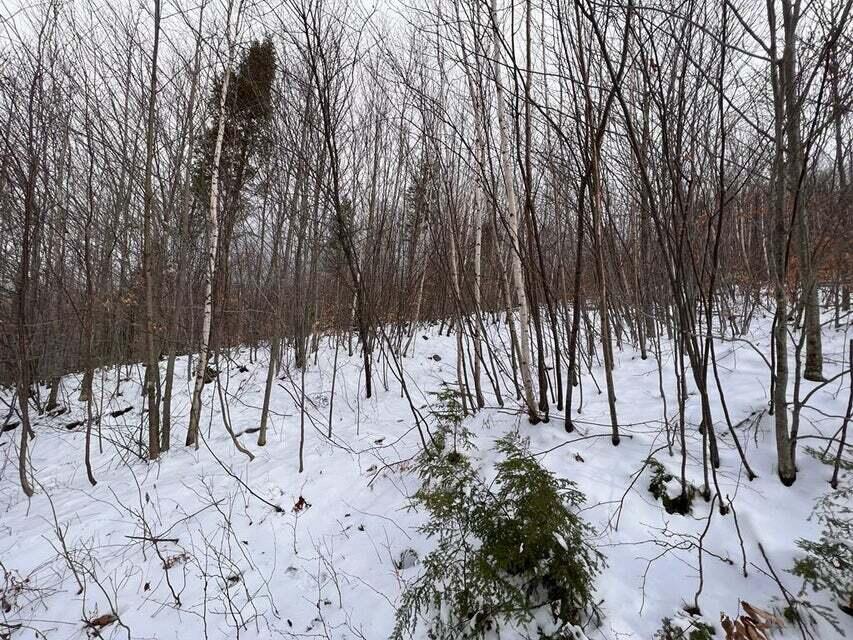 Lot 4 S Rumford Road