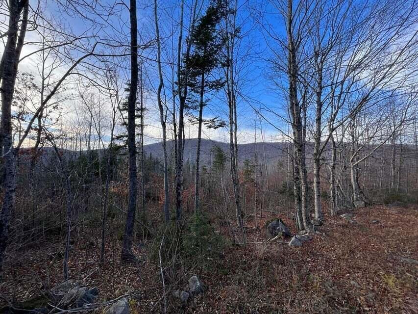 Upper Lot 7-2 Brown Road