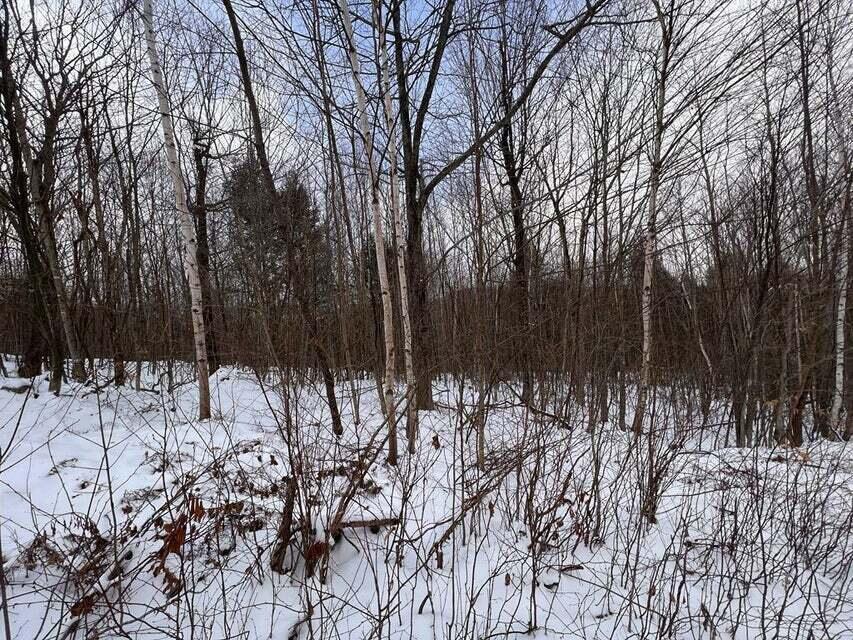 Lot 1 S Rumford Road