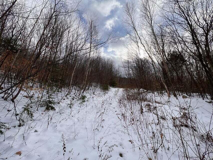 Lot 1 S Rumford Road