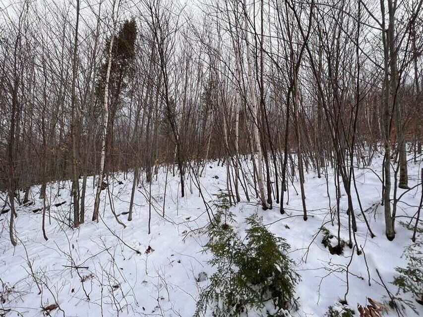 Lot 2 S Rumford Road