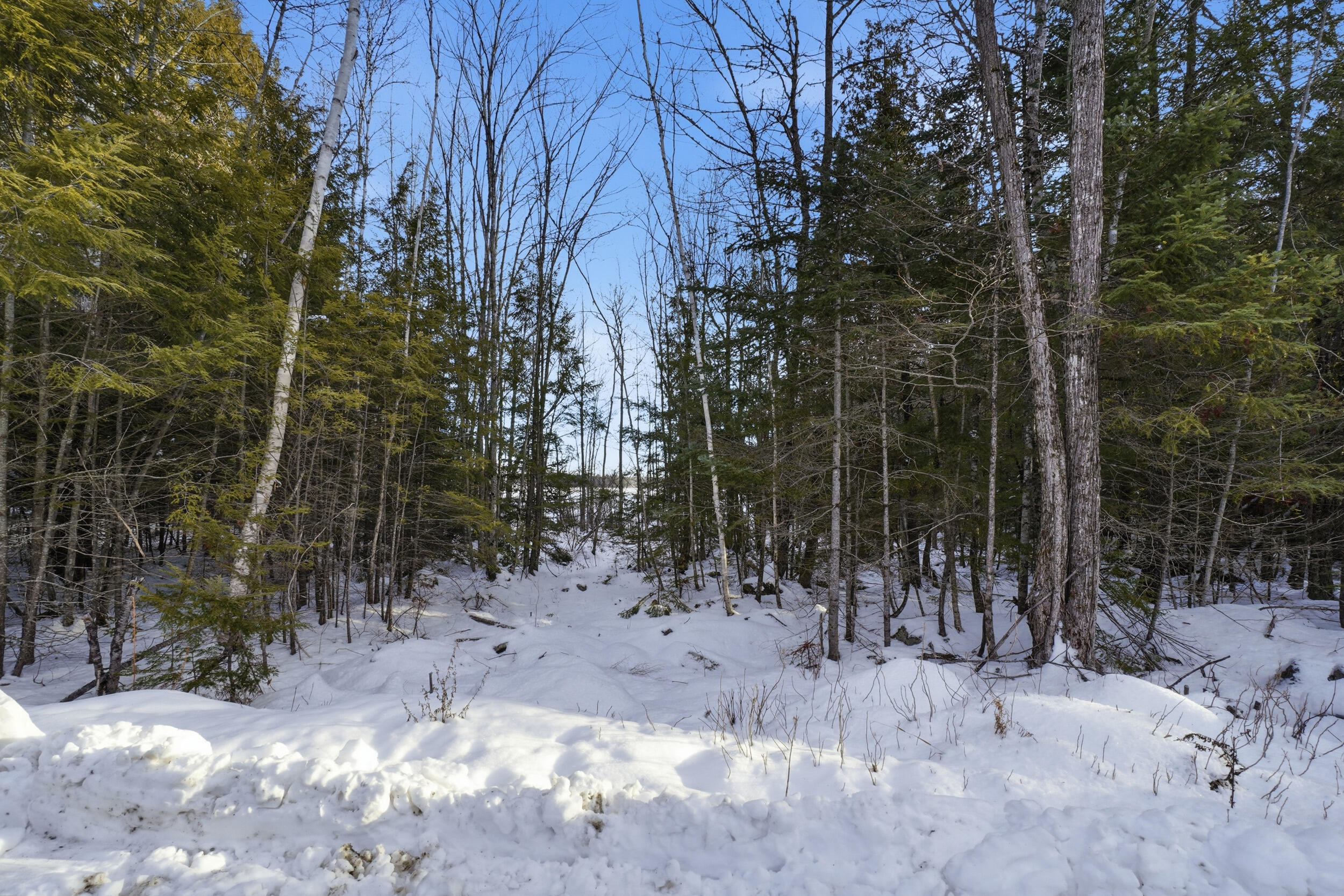 Map 44 Lot 5 Cedar Breeze N