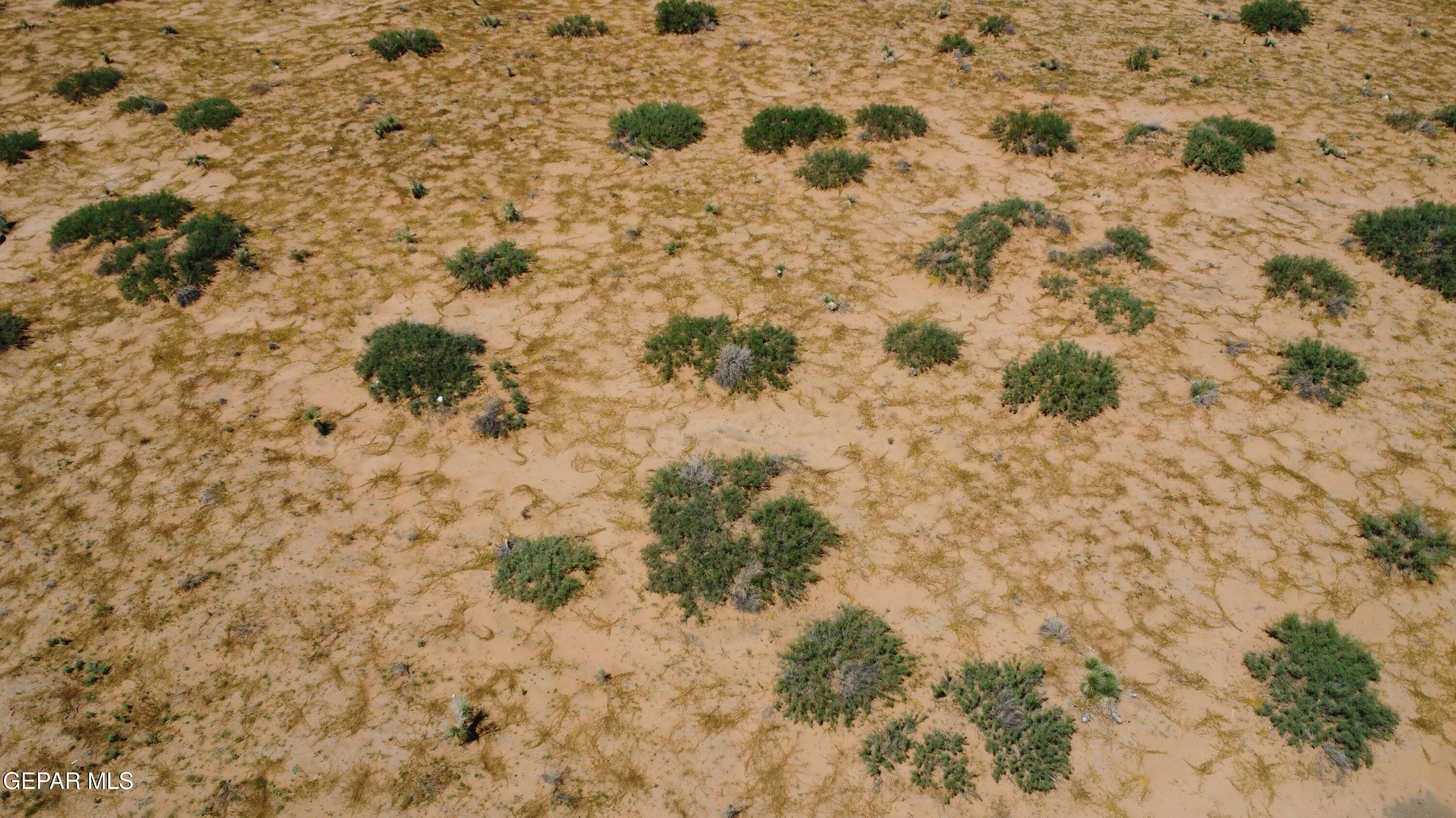 14493 TRUSCOTT Avenue