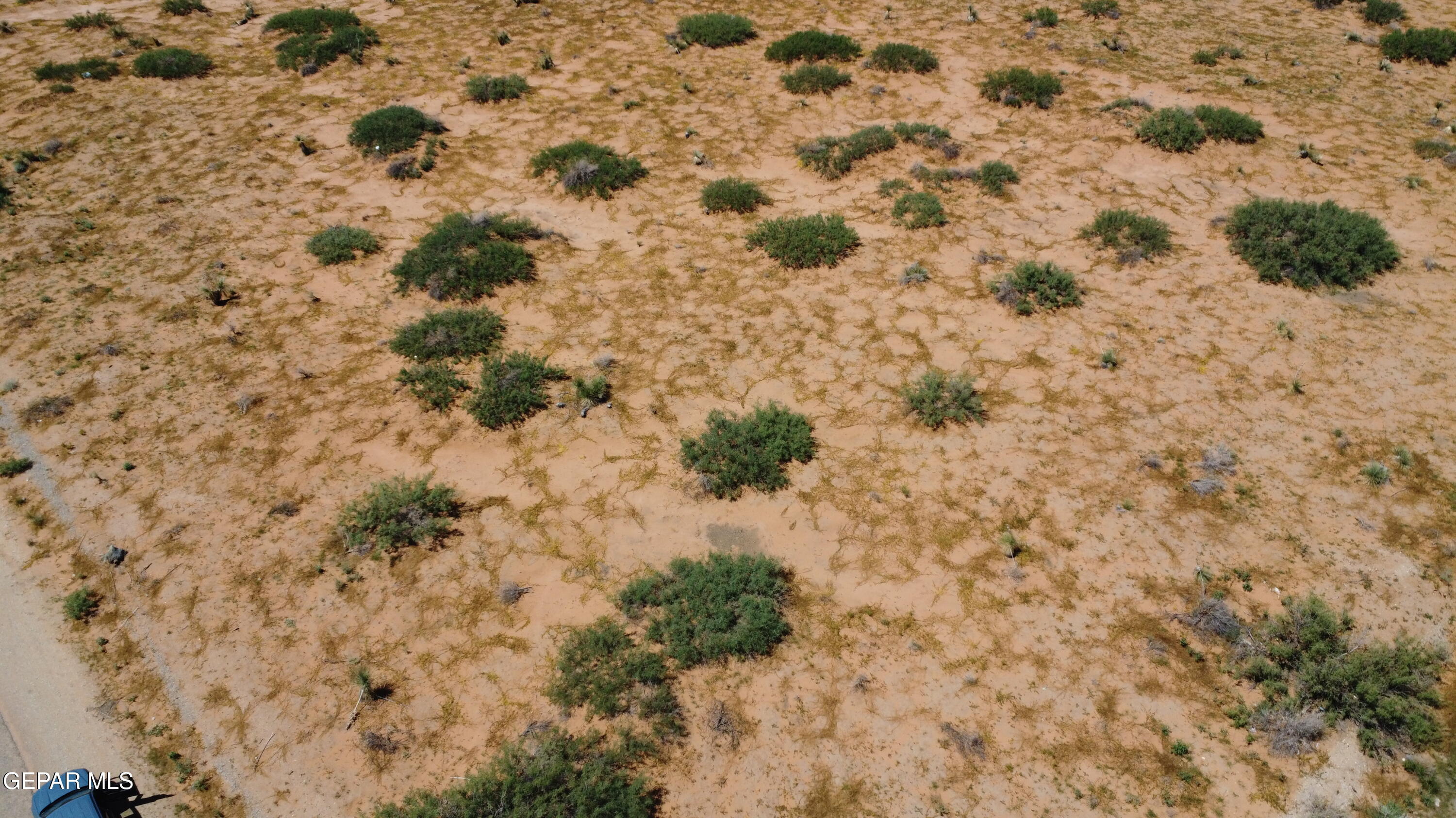 14493 TRUSCOTT Avenue