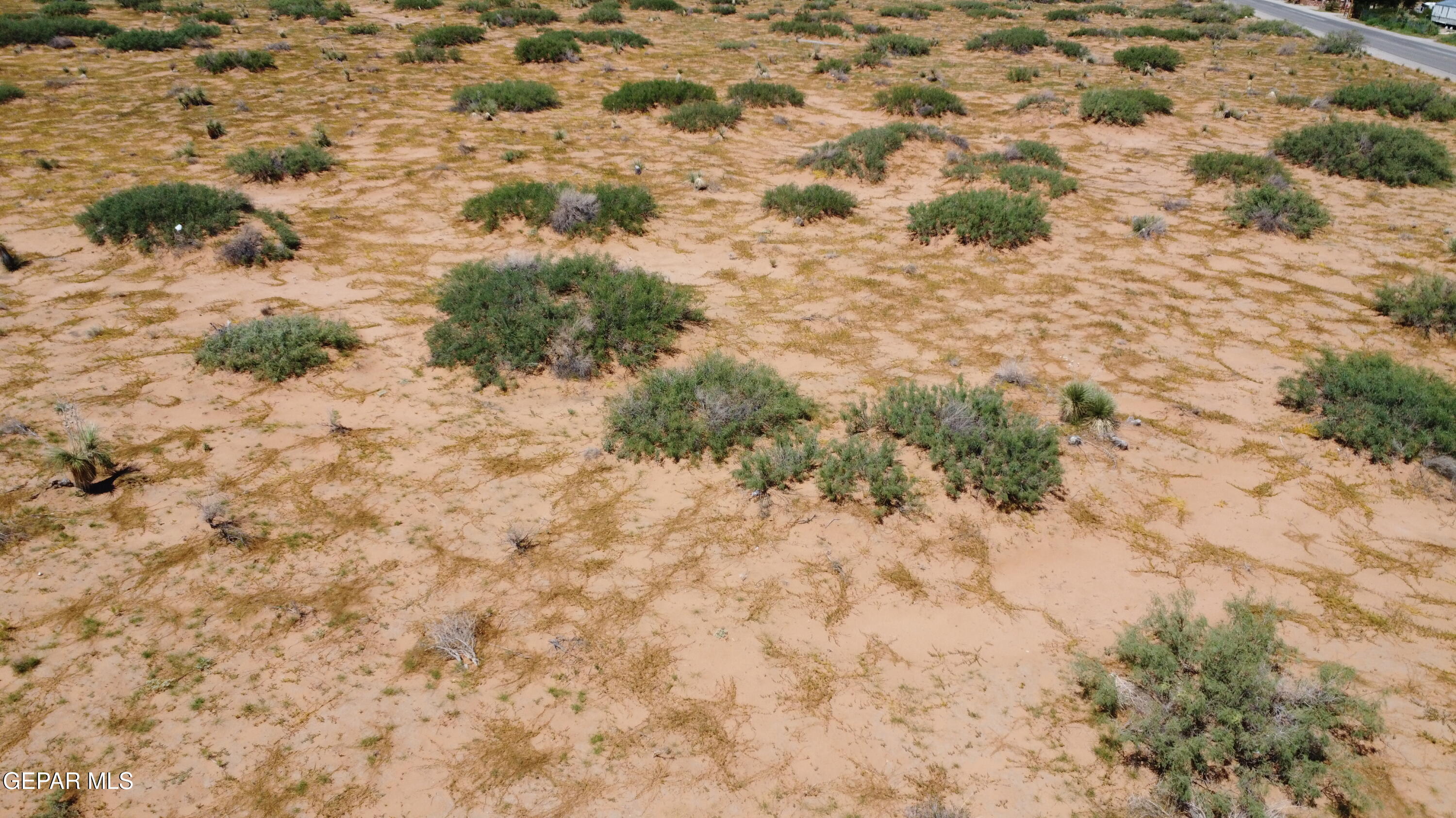 14493 TRUSCOTT Avenue