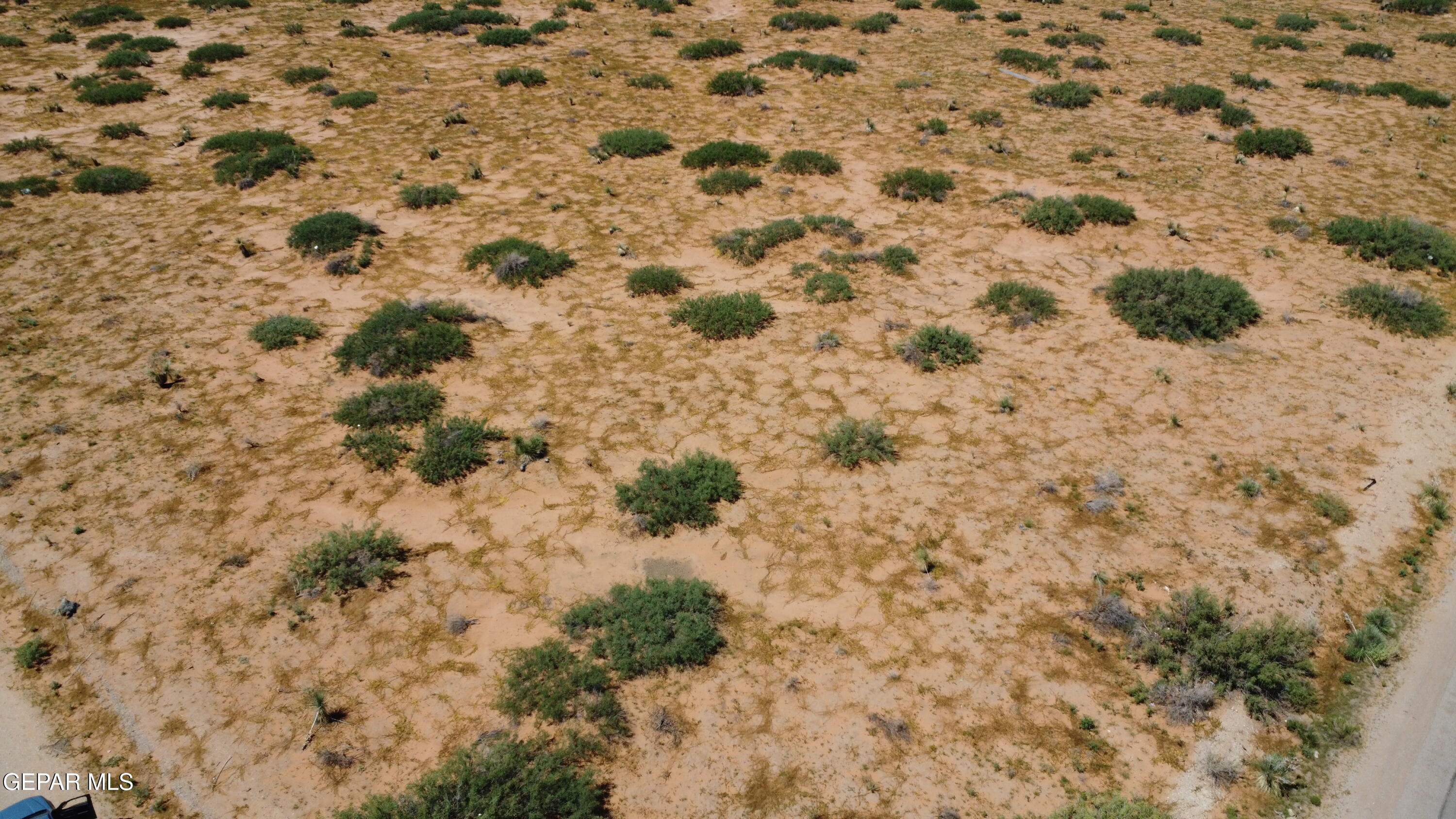 14493 TRUSCOTT Avenue