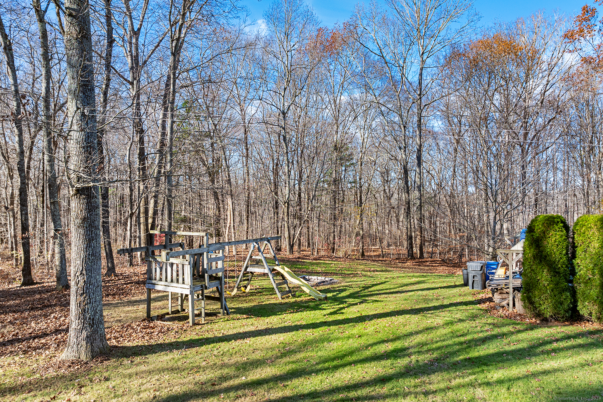 6 Wolf Ridge Gap