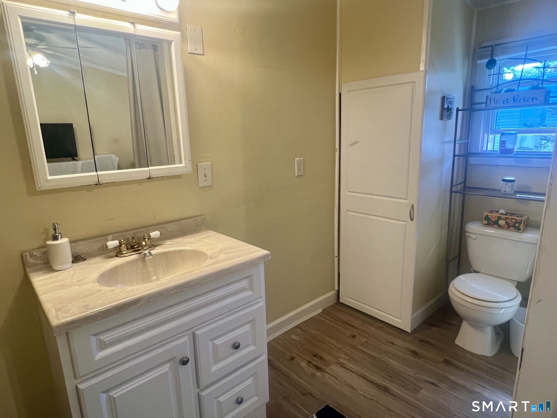 Bathroom with white vanity and mirrored cabinet beside a toilet and wood-look flooring.