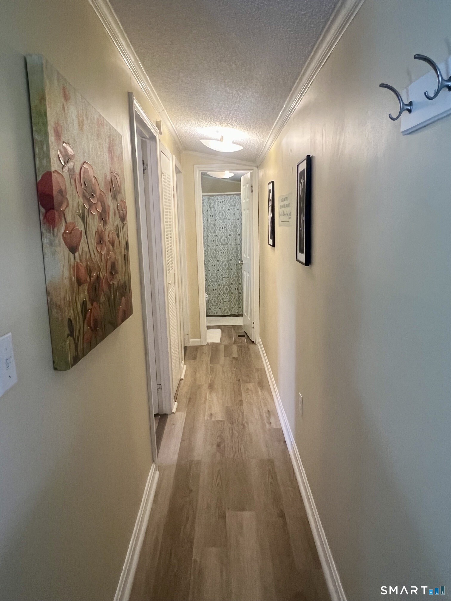 Hallway with wood-look flooring, floral wall art, and open doorways at the far end.