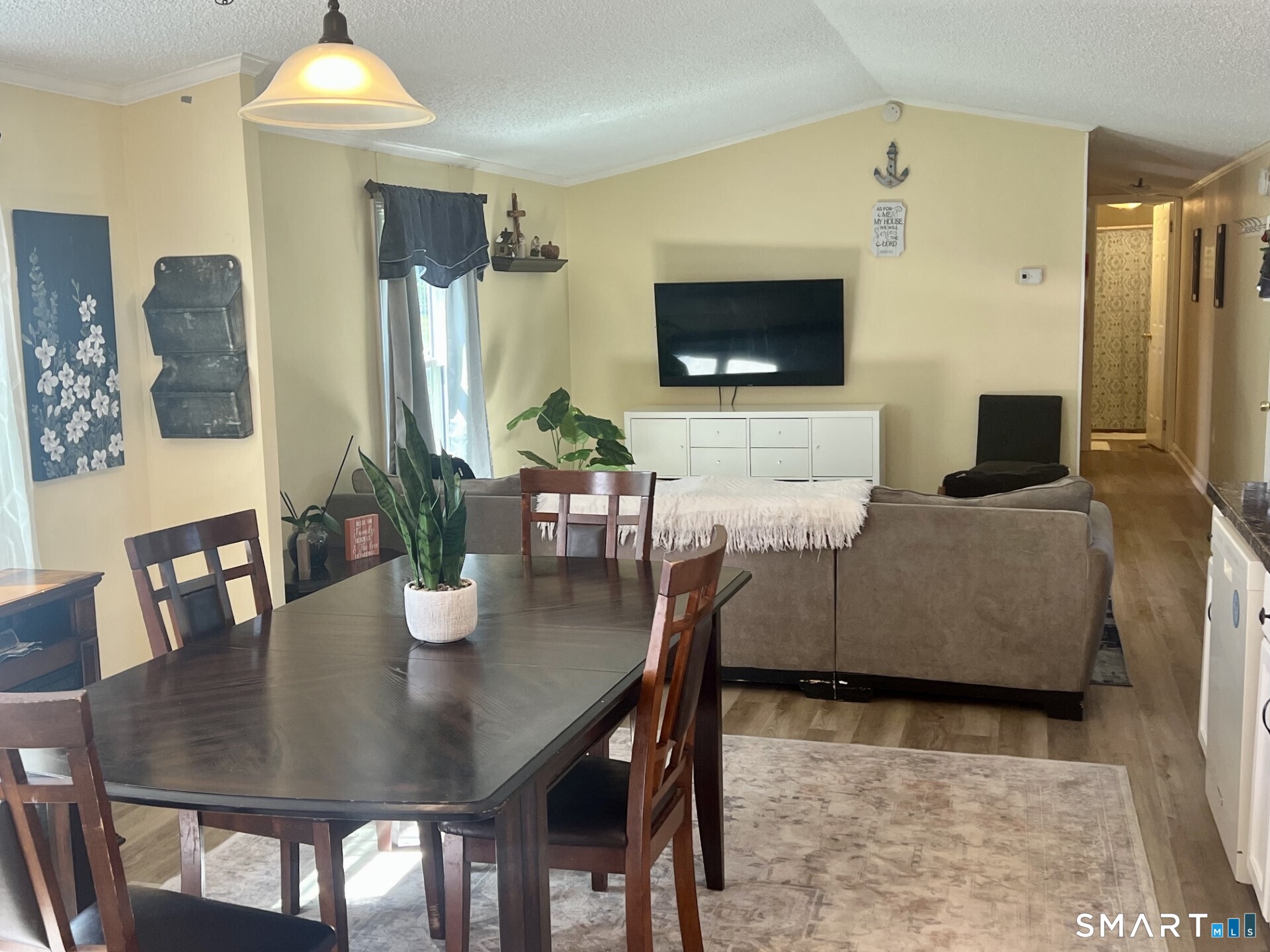 Open-plan dining and living area with a dark wood table and gray sofa facing a wall-mounted television.