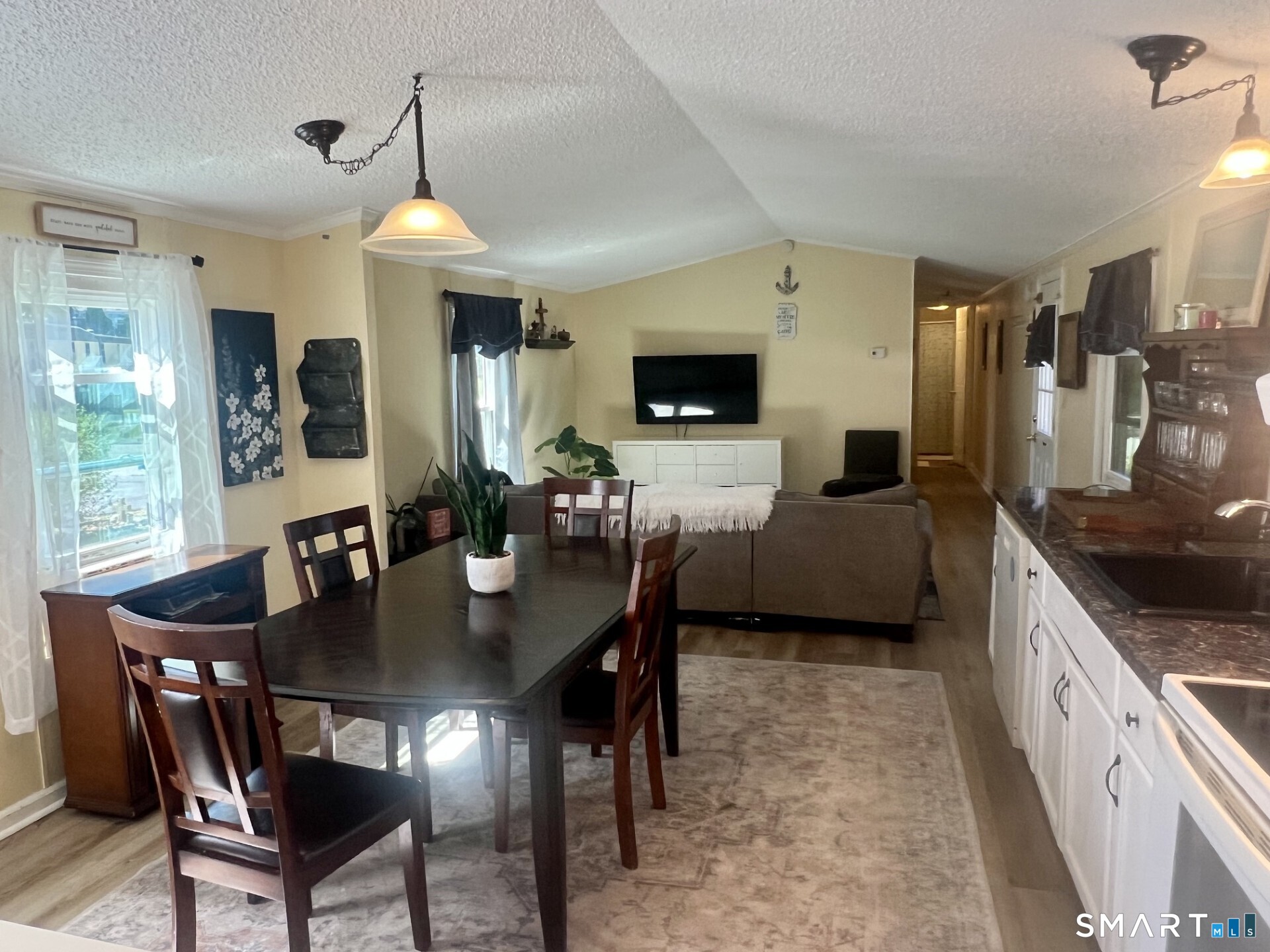 Open-plan dining and living area with a dark dining table, white kitchen cabinetry, and sofa facing a television.