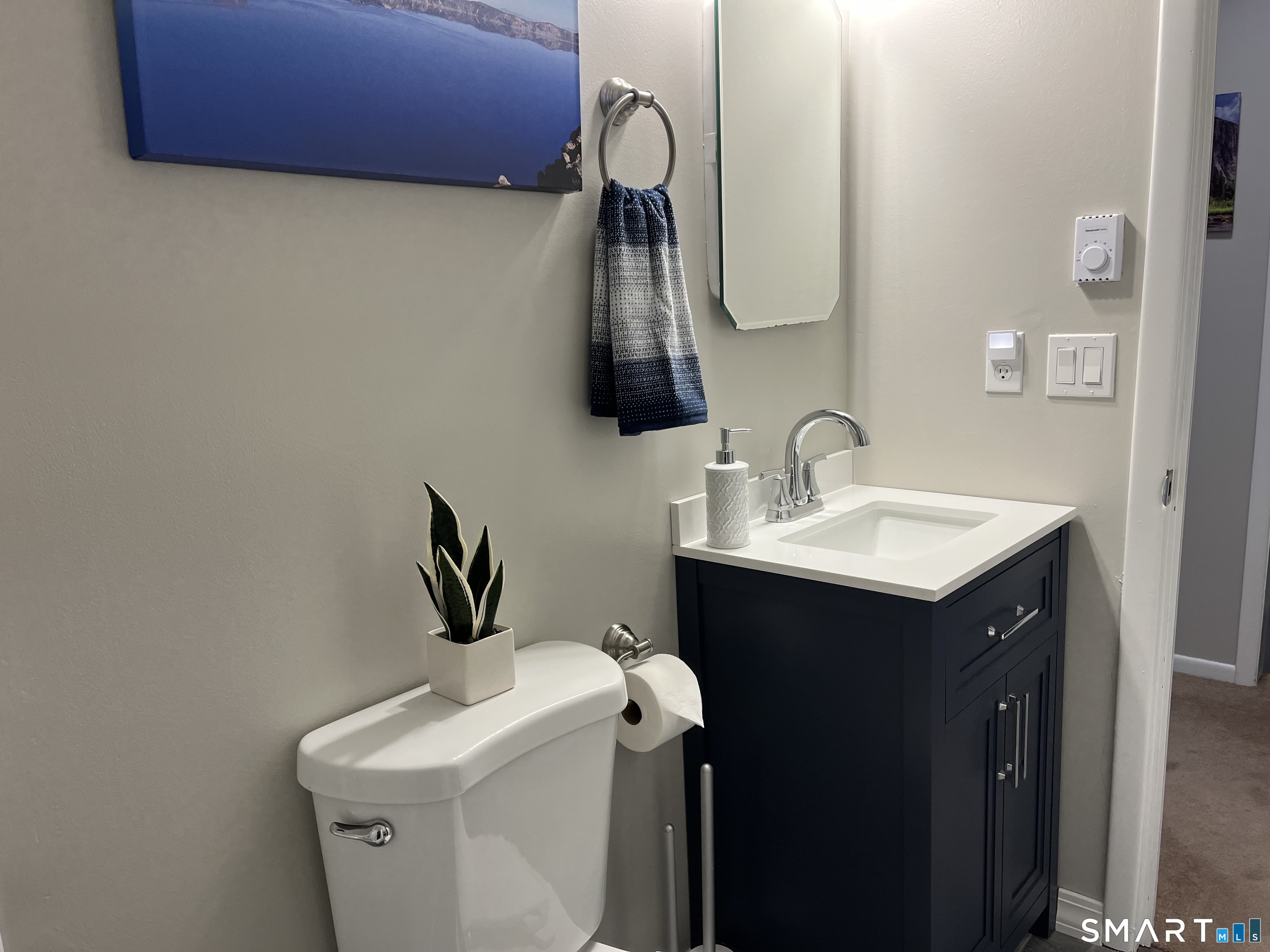 Bathroom with a navy vanity, white sink, and toilet topped with a small potted plant.