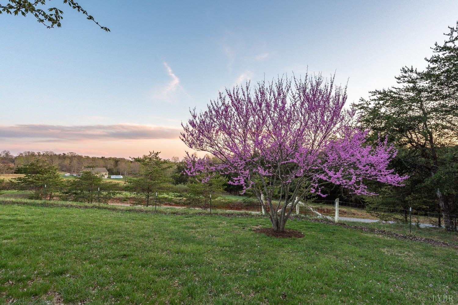 1025 Five Forks Road